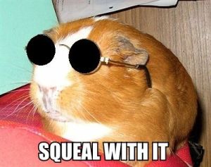 squealwithit