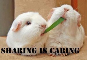 Cute-memes-sharing-is-caring