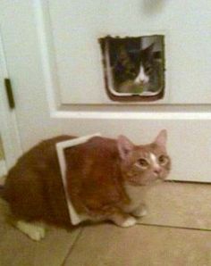 I'll just wait here. I'm fine. 