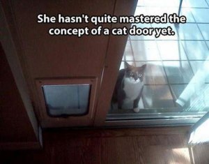 Door Fail