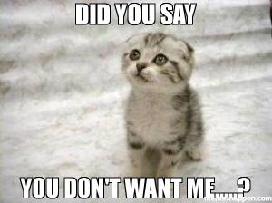 did-you-say-you-don39t-want-me-meme-32450